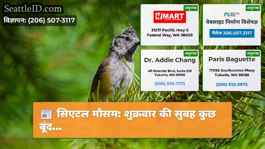 सिएटल मौसम: शुक्रवार की सुबह कुछ बूंद...
