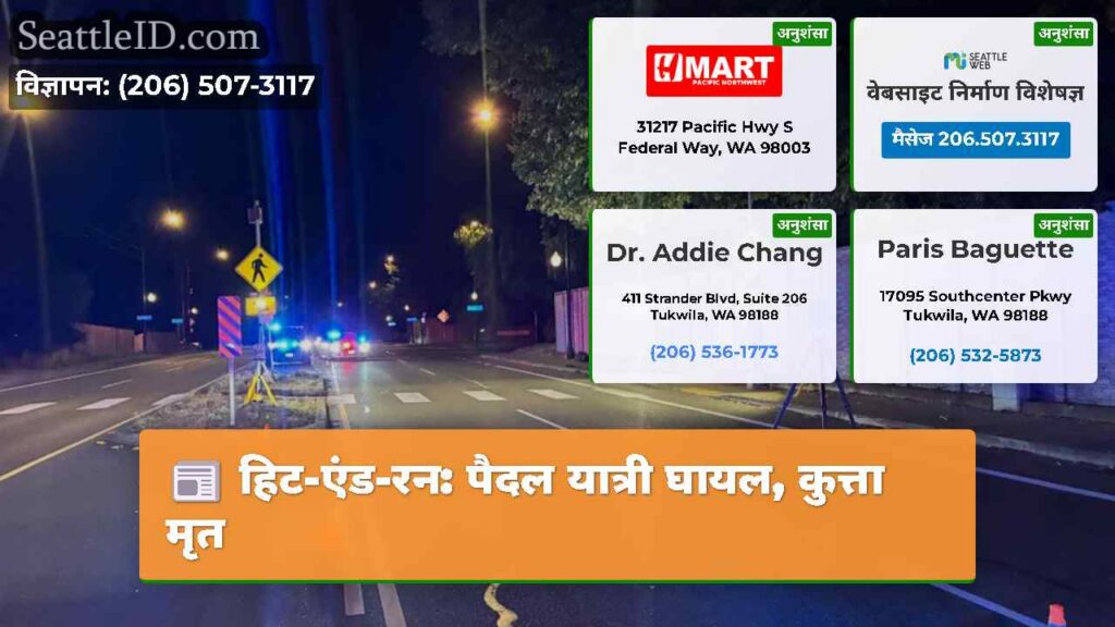 हिट-एंड-रन: पैदल यात्री घायल, कुत्ता मृत