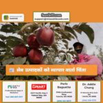 सेब उत्पादकों को व्यापार वार्ता चिंता