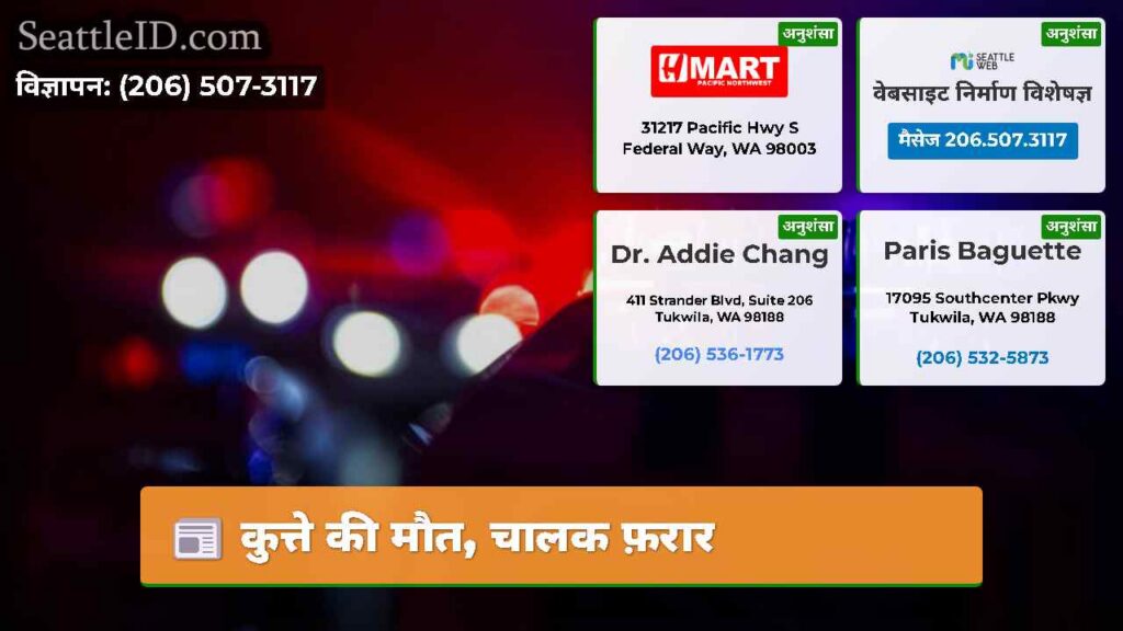 कुत्ते की मौत, चालक फ़रार