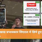 खाद्य प्रभावकार सिएटल में छिपे हुए रत…