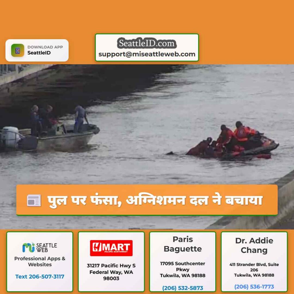 पुल पर फंसा, अग्निशमन दल ने बचाया