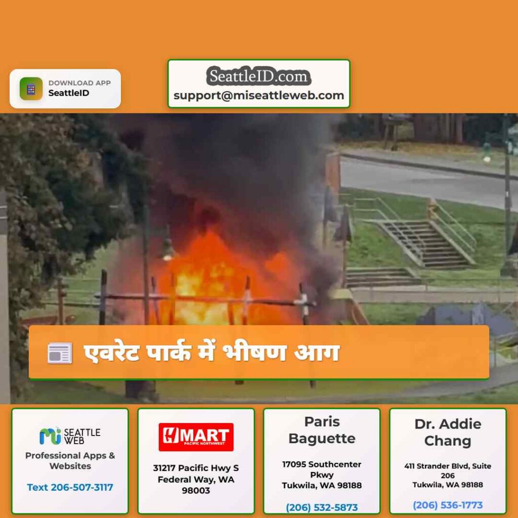 एवरेट पार्क में भीषण आग