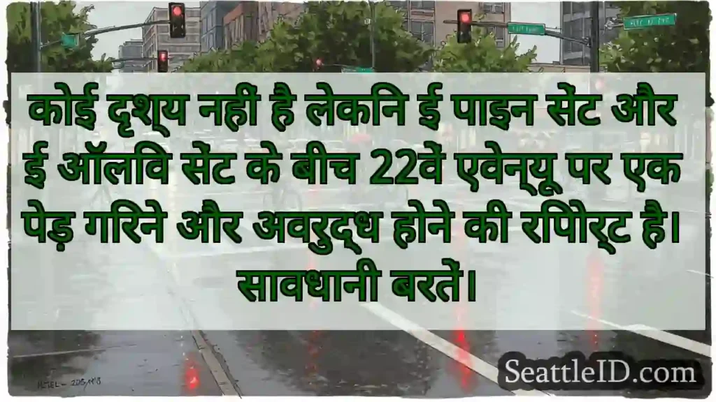 कोई दृश्य नहीं है लेकिन ई पाइन सेंट और ई ऑलिव