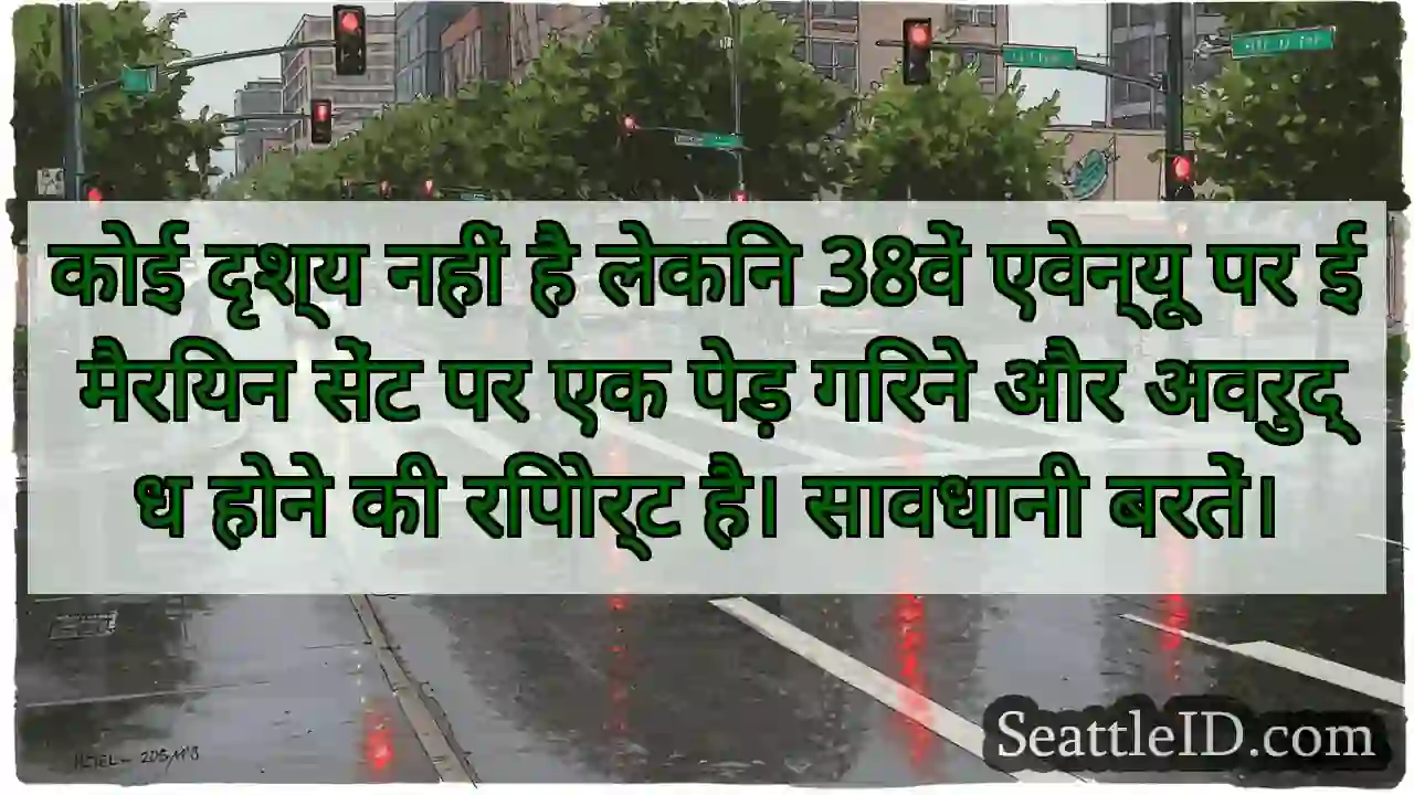 कोई दृश्य नहीं है लेकिन 38वें एवेन्यू पर ई मैरियन