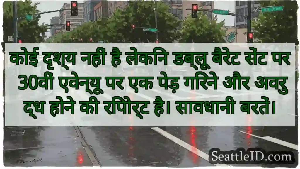 कोई दृश्य नहीं है लेकिन डब्लू बैरेट सेंट पर 30वीं