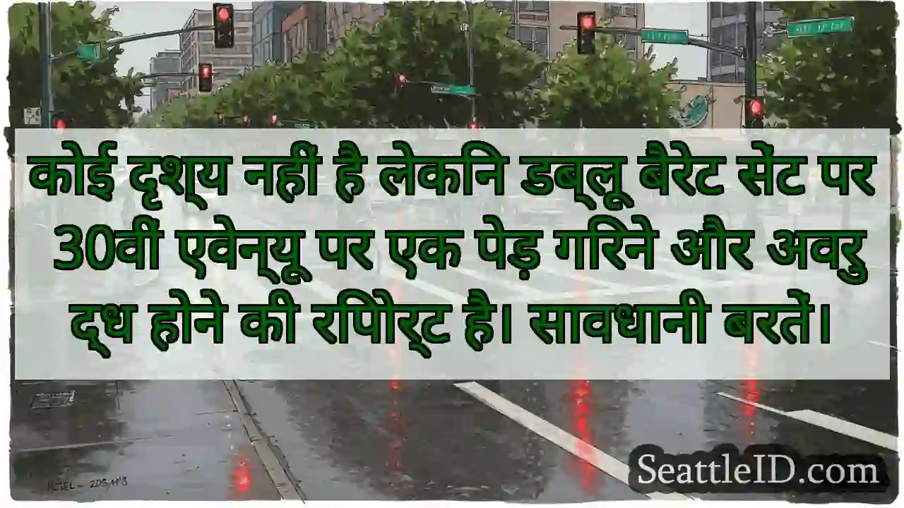 कोई दृश्य नहीं है लेकिन डब्लू बैरेट सेंट पर 30वीं