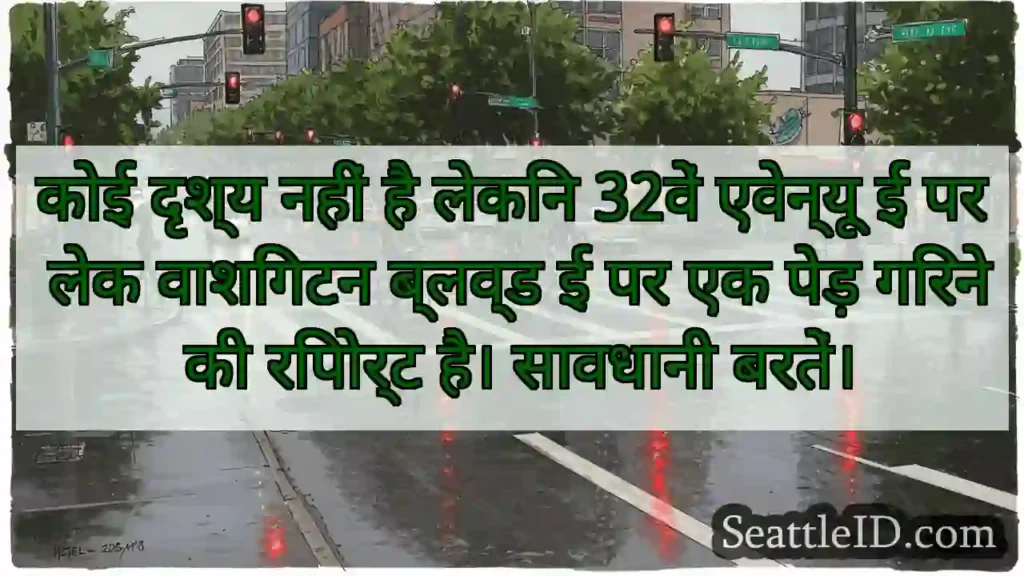कोई दृश्य नहीं है लेकिन 32वें एवेन्यू ई पर लेक
