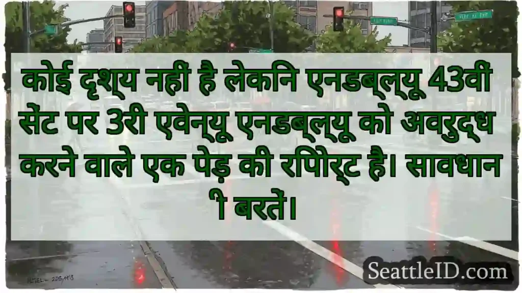 कोई दृश्य नहीं है लेकिन एनडब्ल्यू 43वीं सेंट पर