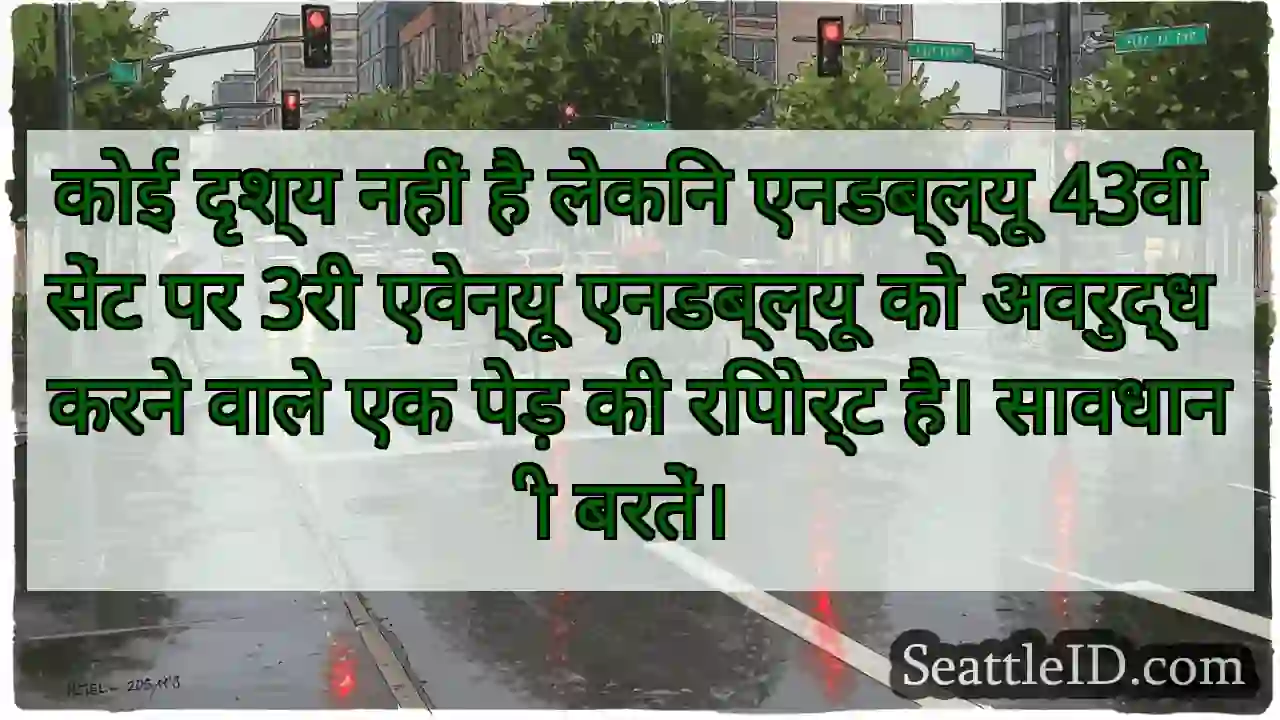 कोई दृश्य नहीं है लेकिन एनडब्ल्यू 43वीं सेंट पर