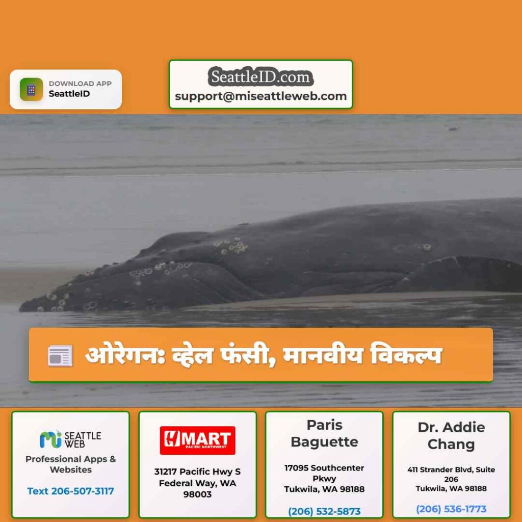 ओरेगन: व्हेल फंसी, मानवीय विकल्प