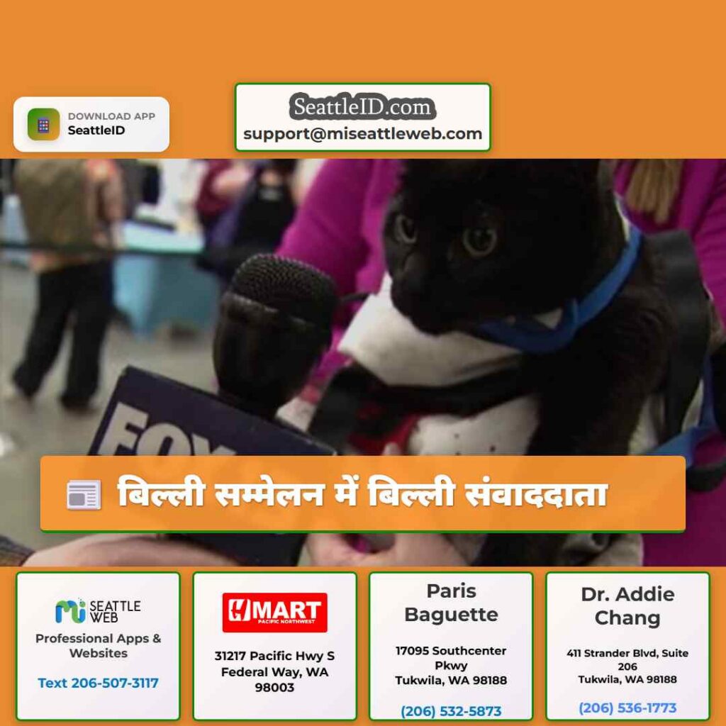 बिल्ली सम्मेलन में बिल्ली संवाददाता