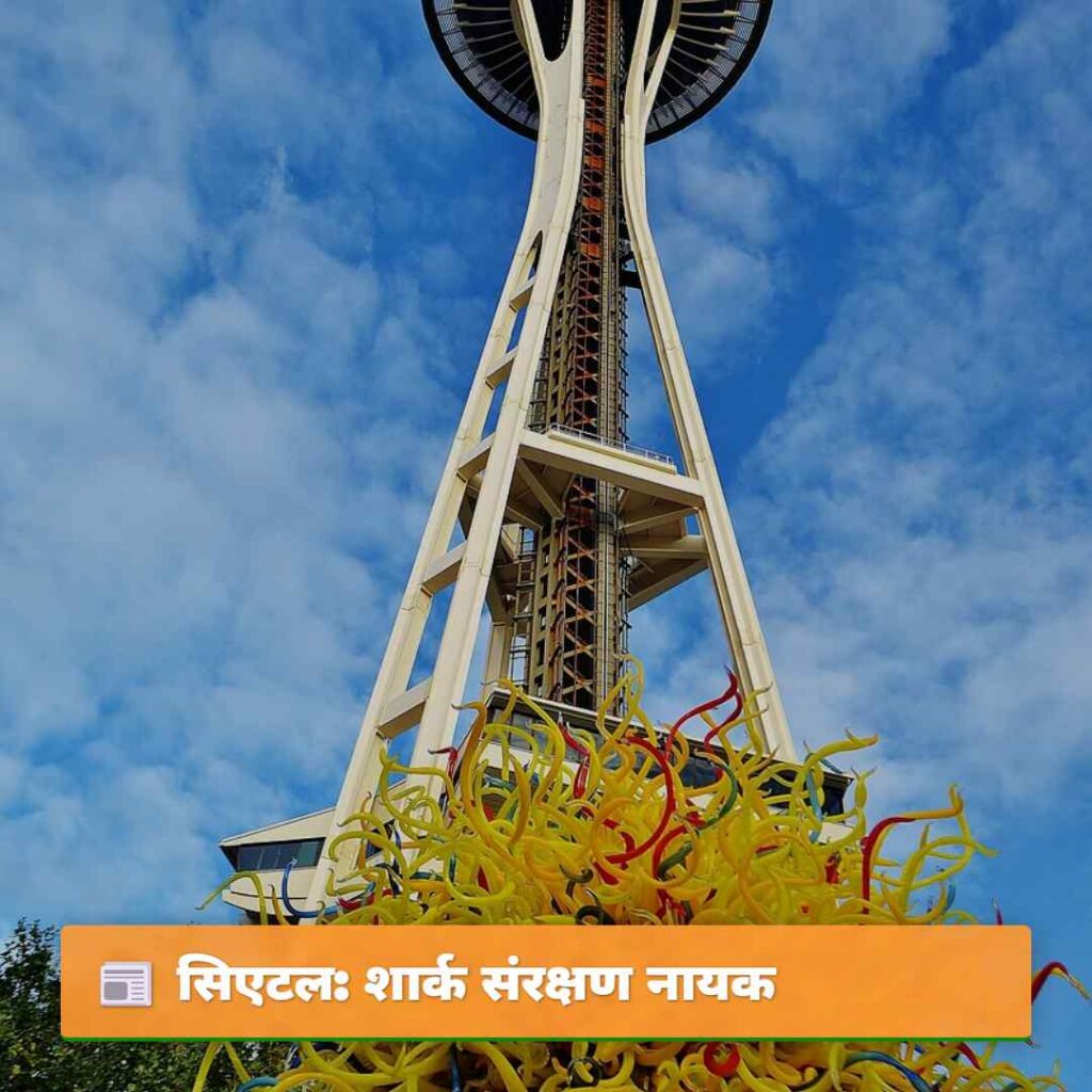 सिएटल: शार्क संरक्षण नायक