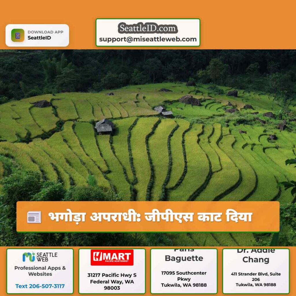 भगोड़ा अपराधी: जीपीएस काट दिया