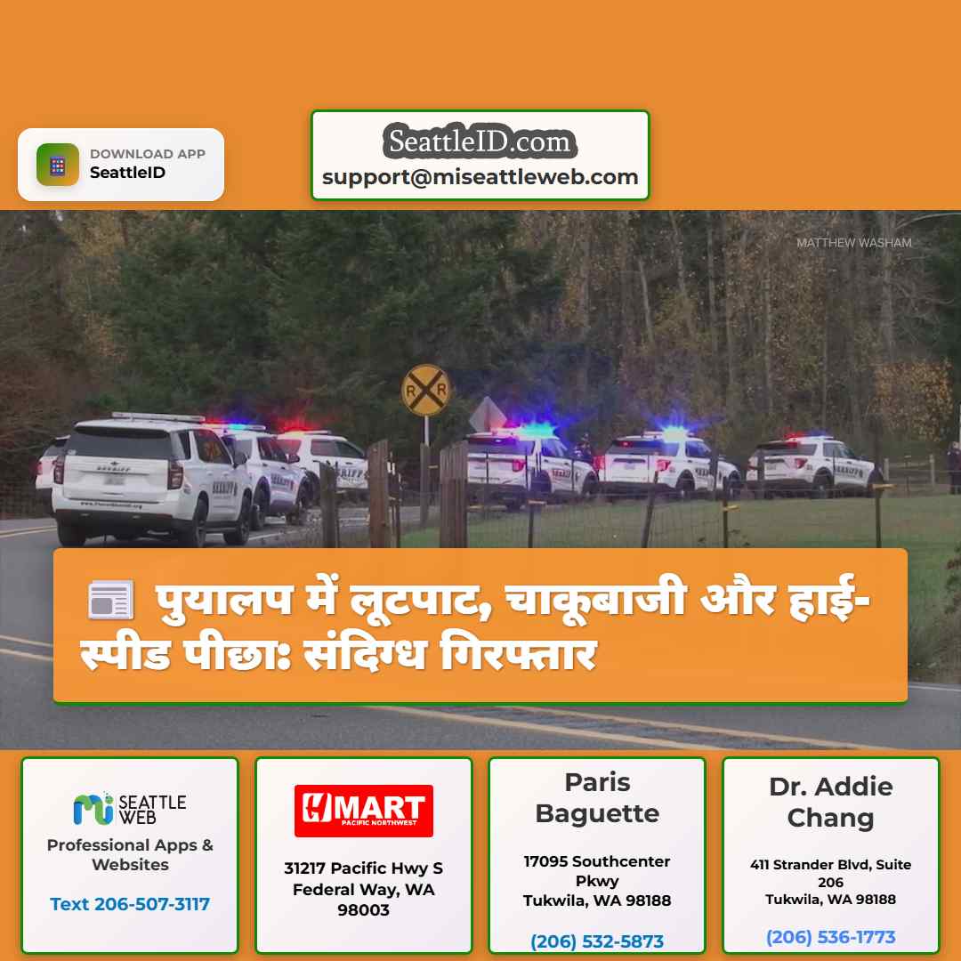 पुयालप में लूटपाट, चाकूबाजी और हाई-स्पीड पीछा: