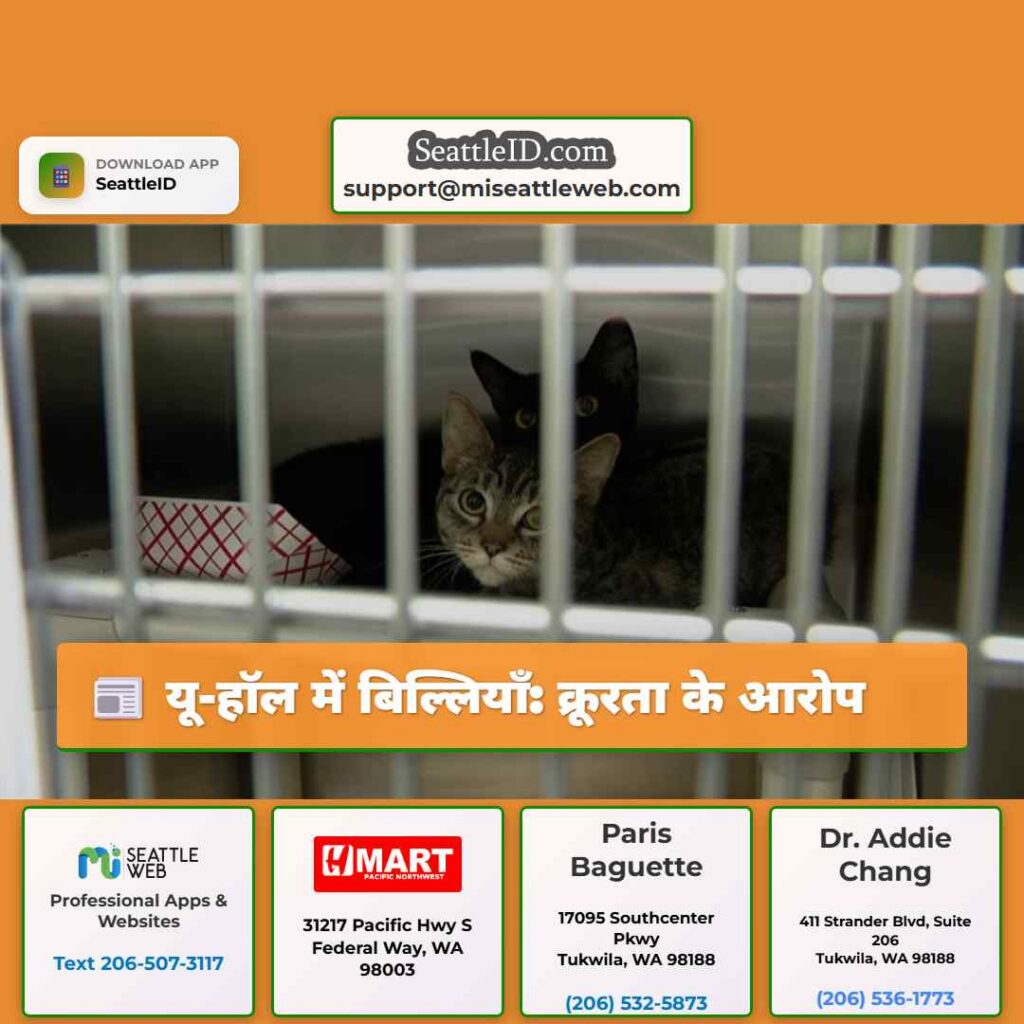 यू-हॉल में बिल्लियाँ: क्रूरता के आरोप