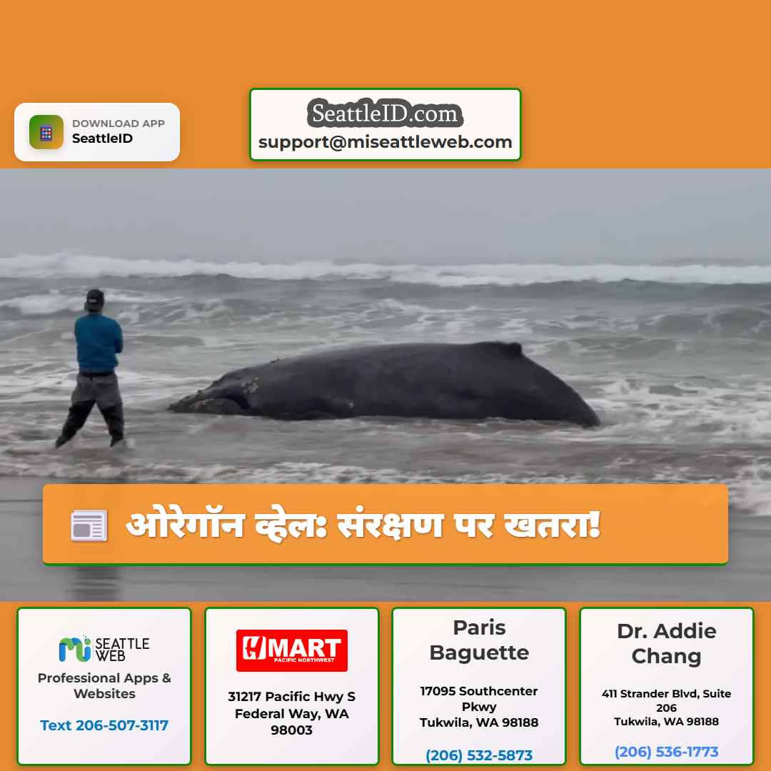 ओरेगॉन व्हेल: संरक्षण पर खतरा!