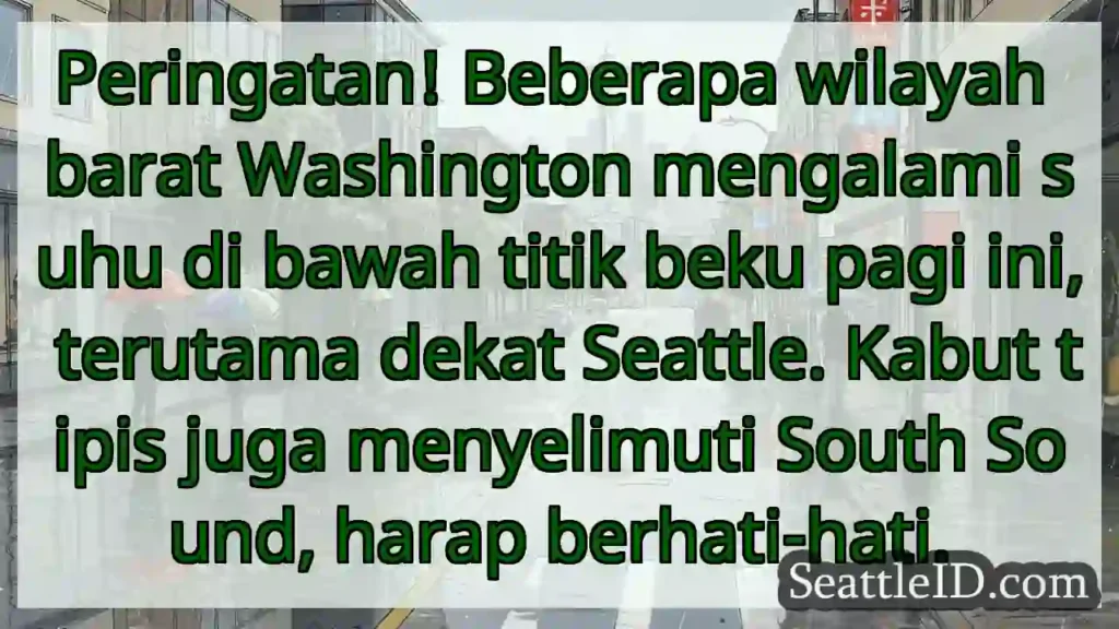 Dingin! Suhu di bawah titik beku di Seattle.