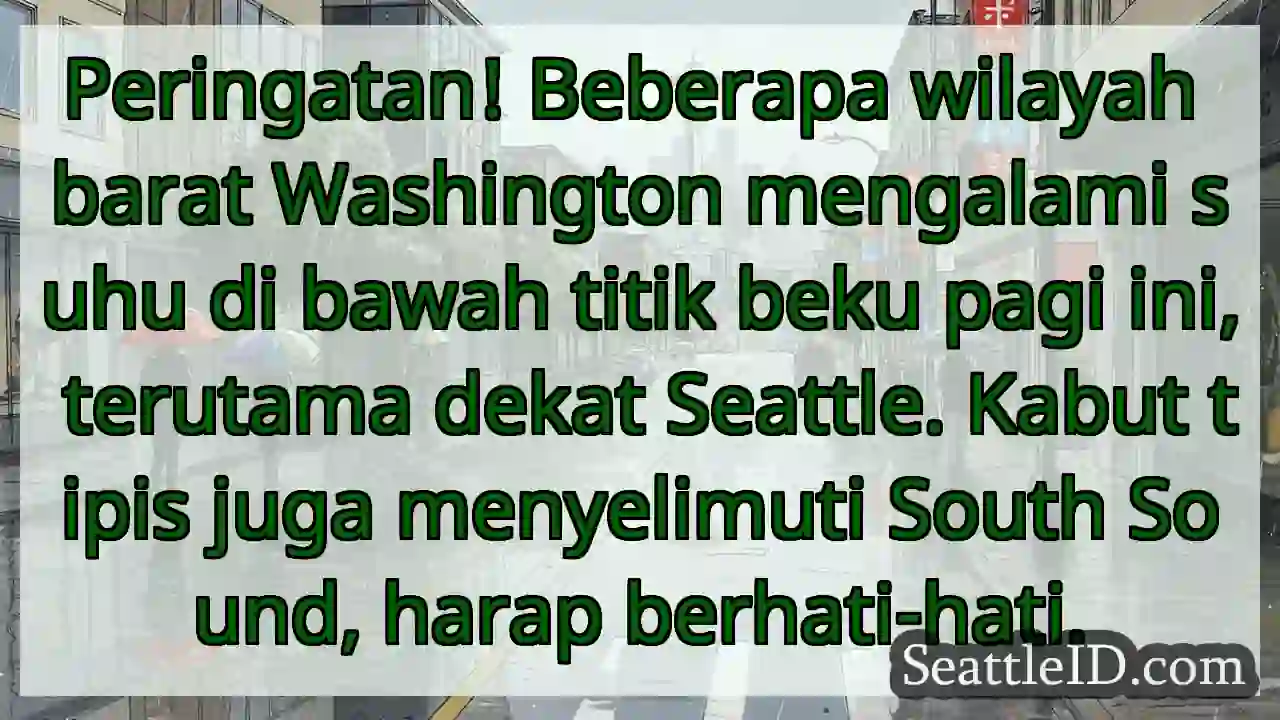 Dingin! Suhu di bawah titik beku di Seattle.