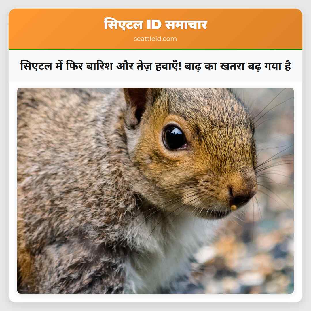 सिएटल में फिर बारिश और तेज़ हवाएँ! बाढ़ का खतरा