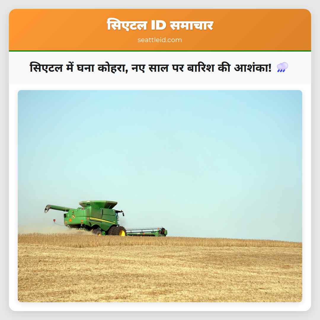 सिएटल में घना कोहरा, नए साल पर बारिश की आशंका! 🌧️