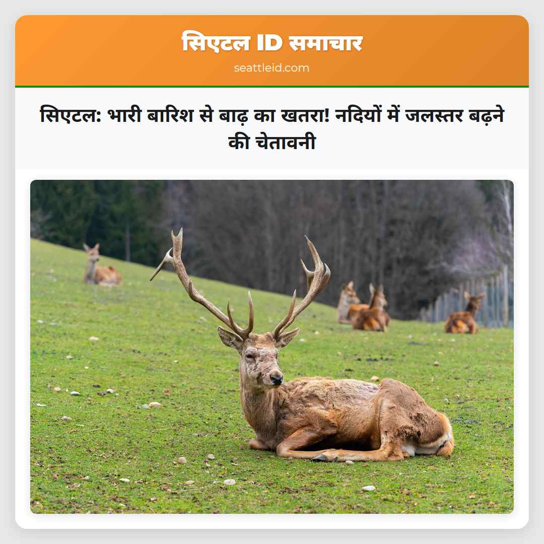 सिएटल: भारी बारिश से बाढ़ का खतरा! नदियों में