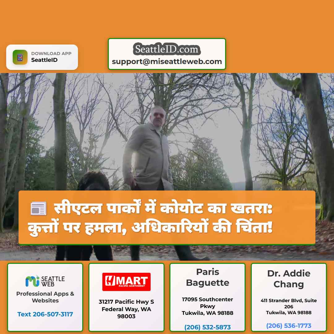 सीएटल पार्कों में कोयोट का खतरा: कुत्तों पर हमला,