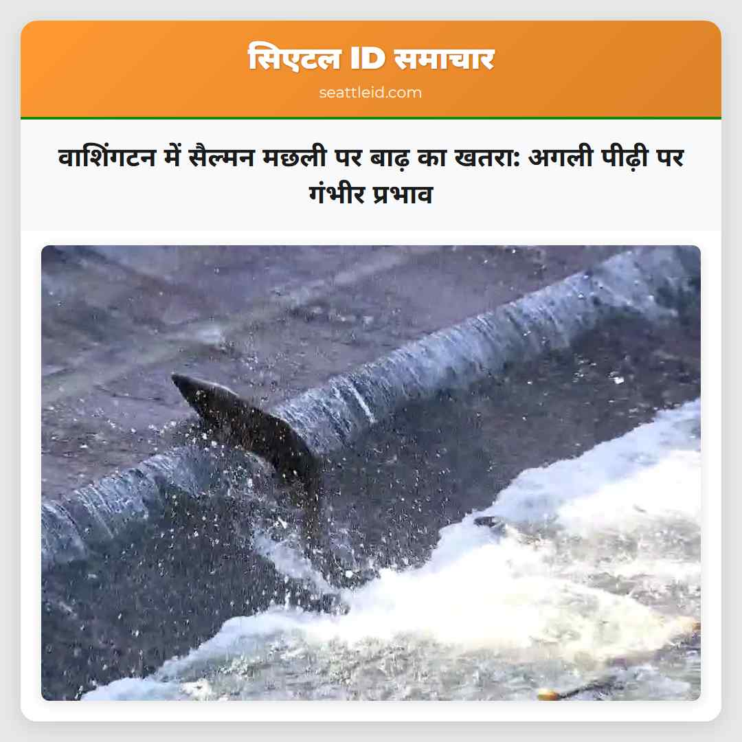 वाशिंगटन में सैल्मन मछली पर बाढ़ का खतरा: अगली