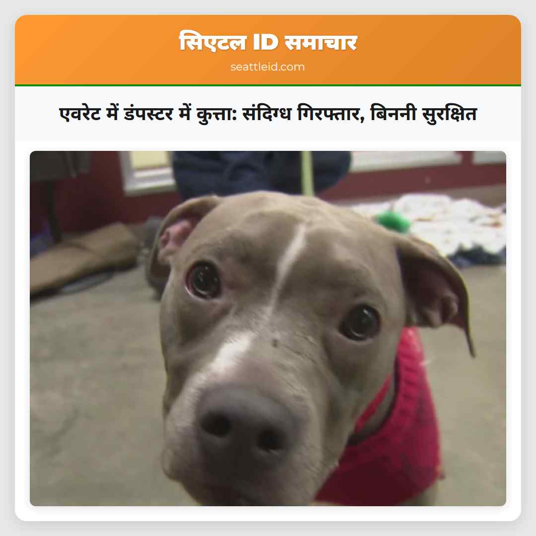 एवरेट में डंपस्टर में कुत्ता: संदिग्ध गिरफ्तार,