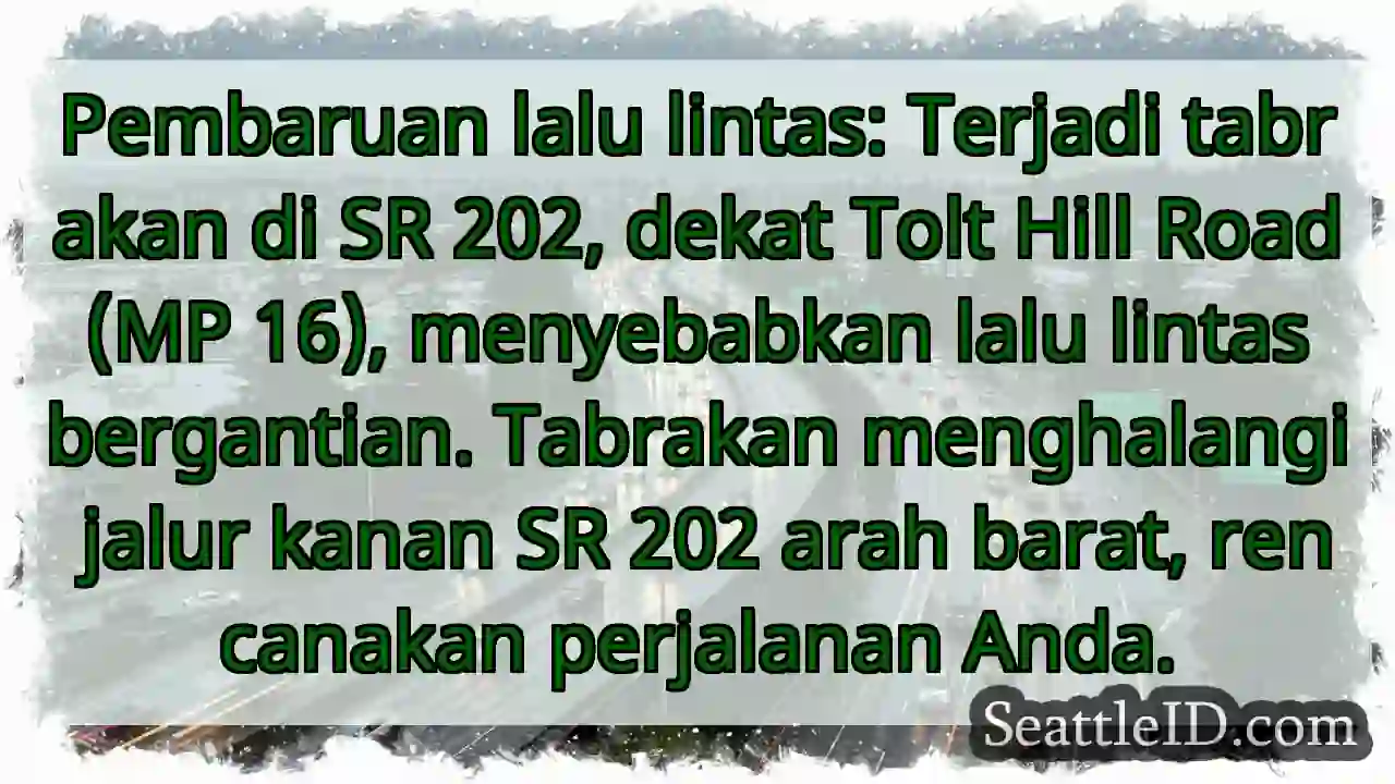 SR 202: Tabrakan! Lalu lintas bergantian.