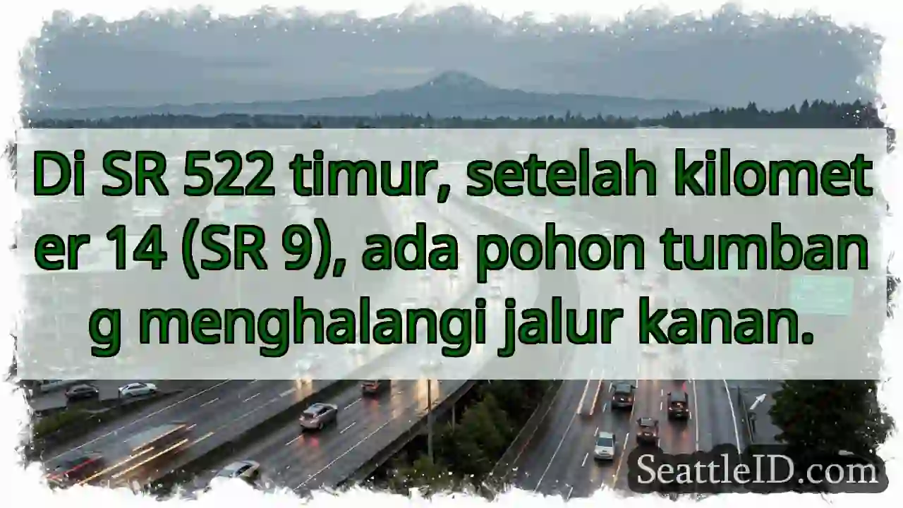 Pohon tumbang! SR 522 KM 14.