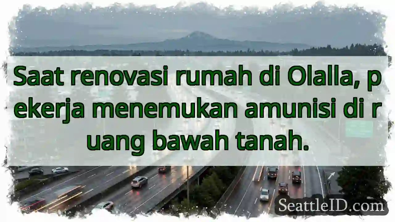 Temuan Mengejutkan: Amunisi di Bawah Tanah!