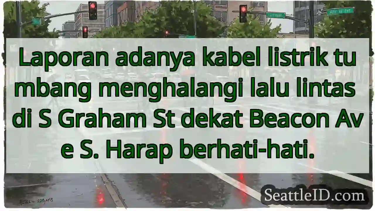Kabel listrik tumbang! Hati-hati di S Graham St.