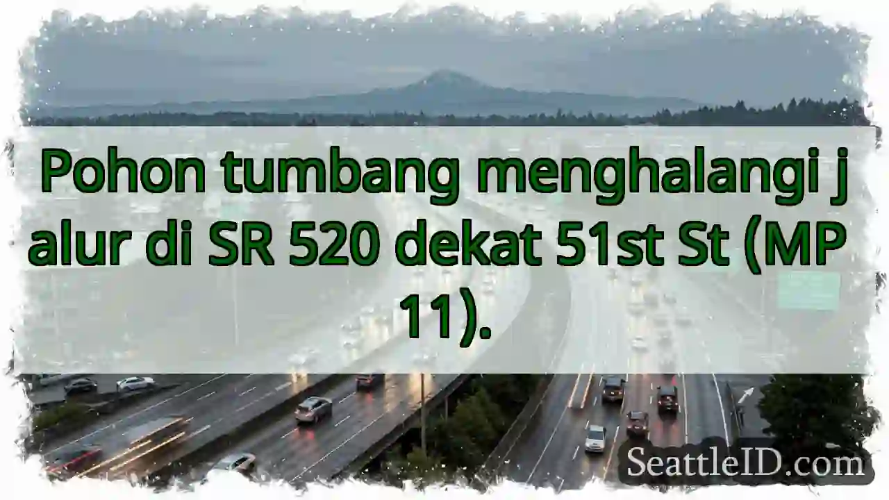Pohon tumbang! SR 520 terhalang.