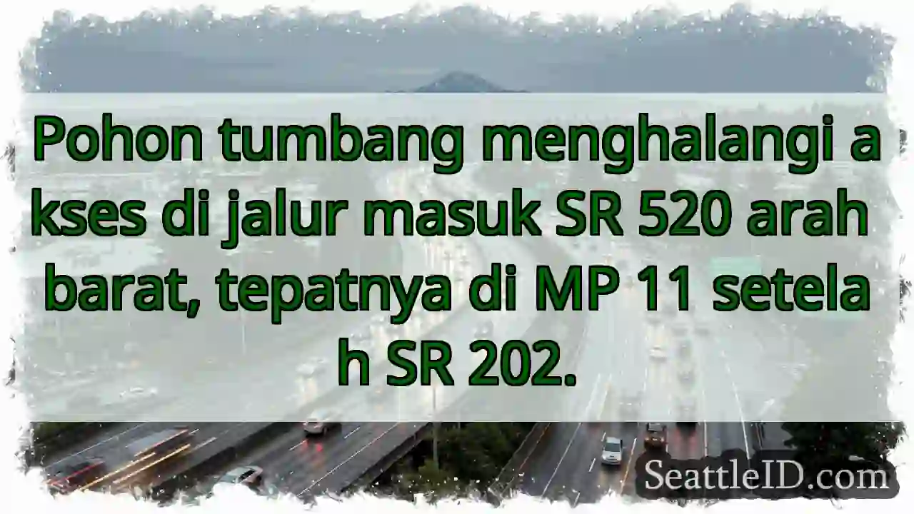 Pohon tumbang! SR 520 Barat, MP 11.