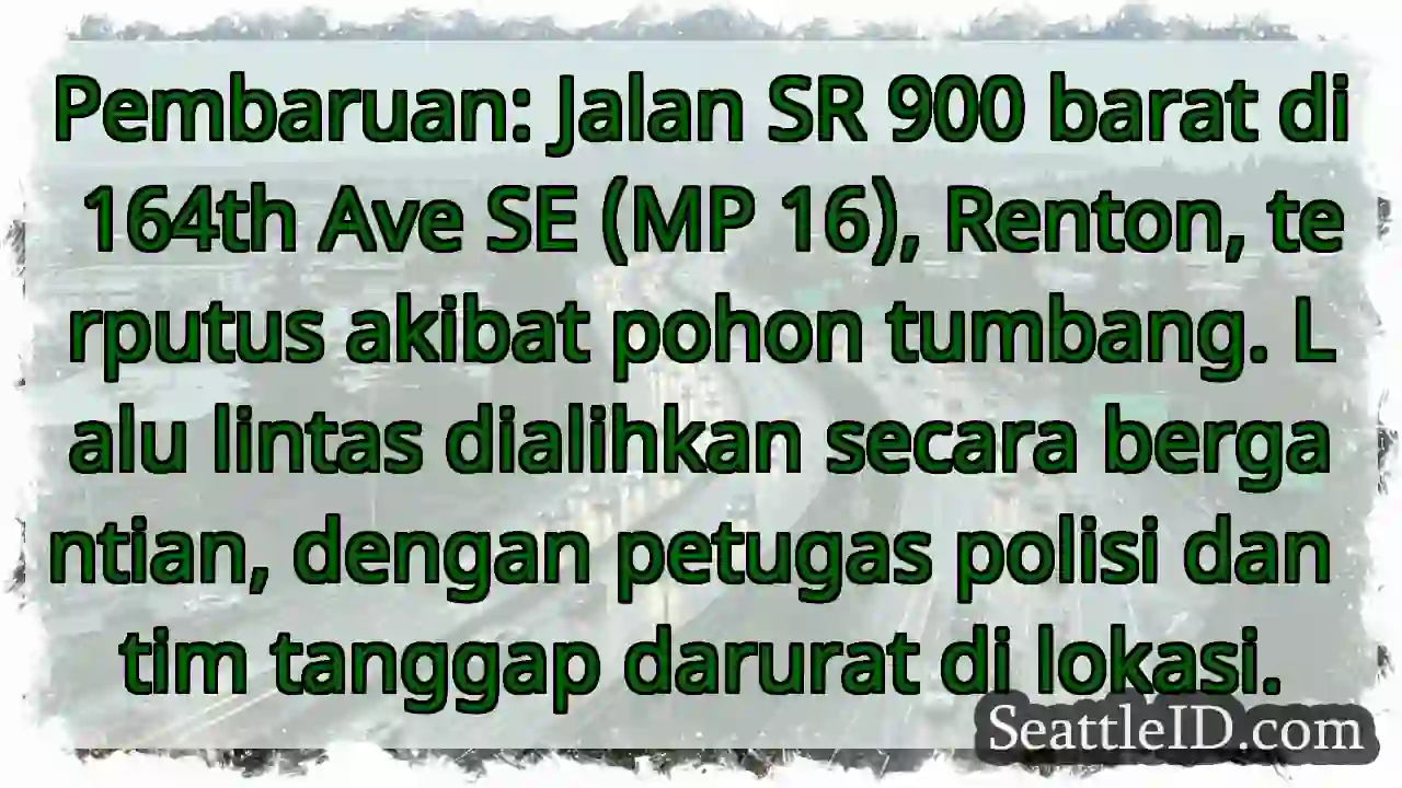 SR 900 Barat: Akses Terputus! Pohon Tumbang.