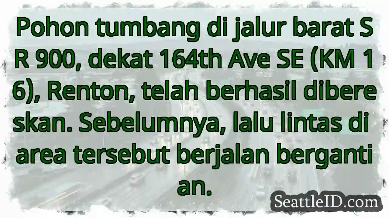 Pohon tumbang di SR 900 sudah dibereskan!