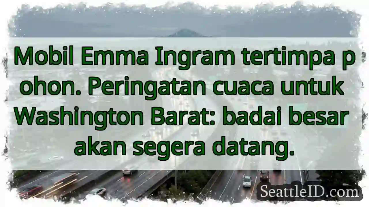 Pohon tumbang! Waspada cuaca buruk.