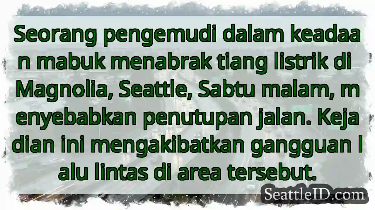 Tabrakan Mabuk: Tiang Listrik Rusak!