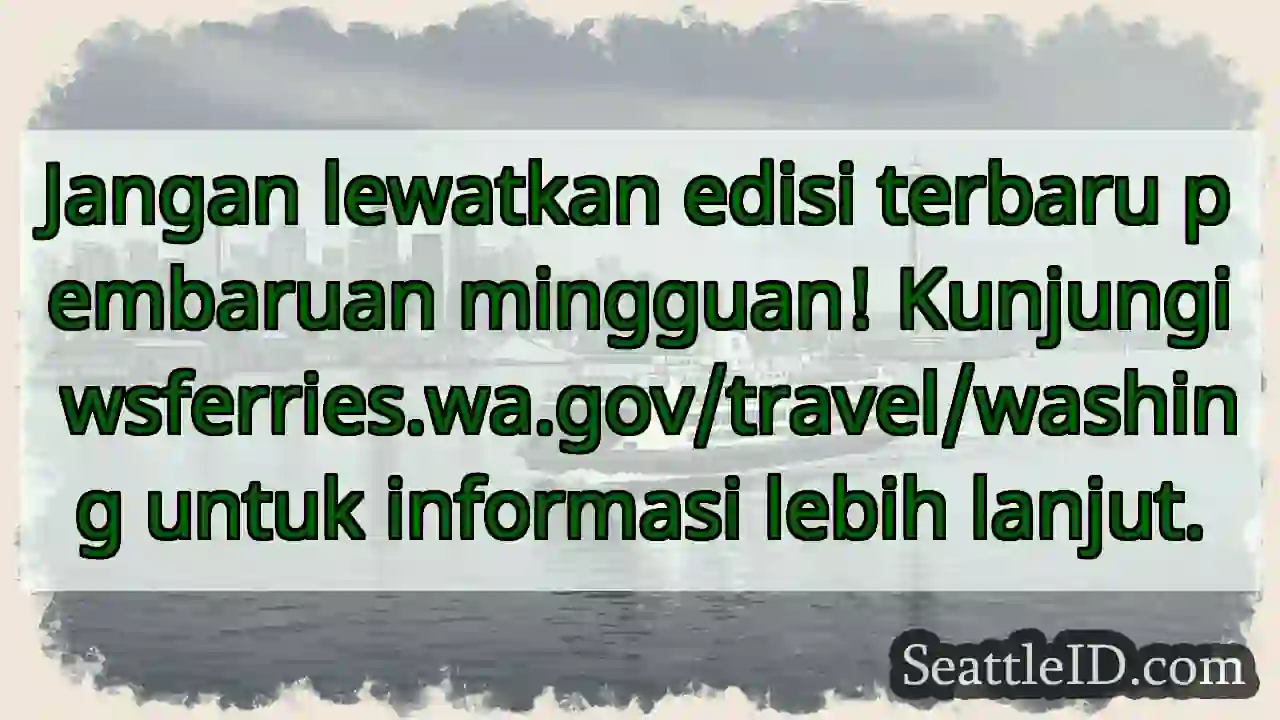 Update Mingguan Terbaru! ⛴️