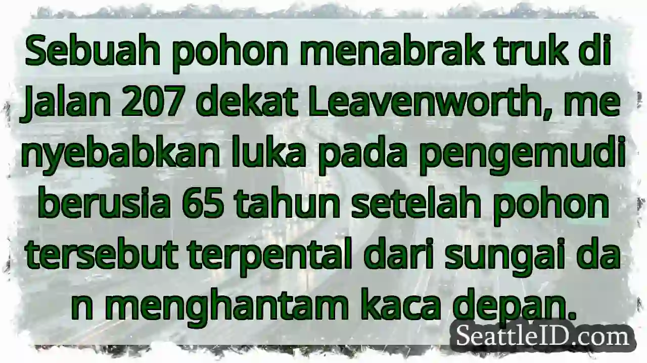 Pohon Tabrak Truk! Pengemudi Luka.