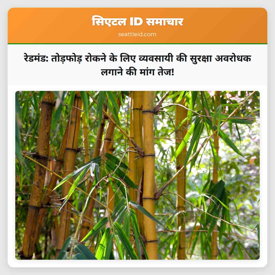 रेडमंड: तोड़फोड़ रोकने के लिए व्यवसायी की सुरक्षा