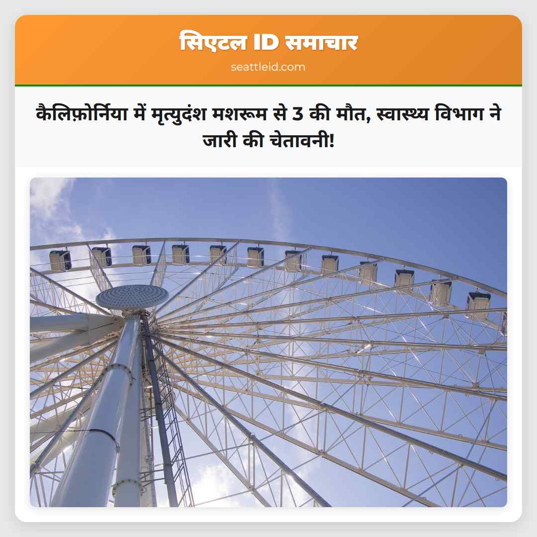 कैलिफ़ोर्निया में मृत्युदंश मशरूम से 3 की मौत,