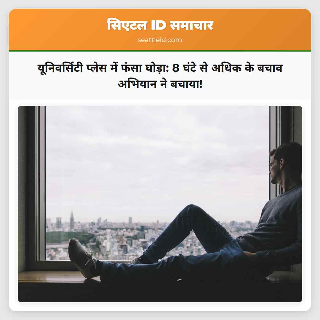 यूनिवर्सिटी प्लेस में फंसा घोड़ा: 8 घंटे से अधिक