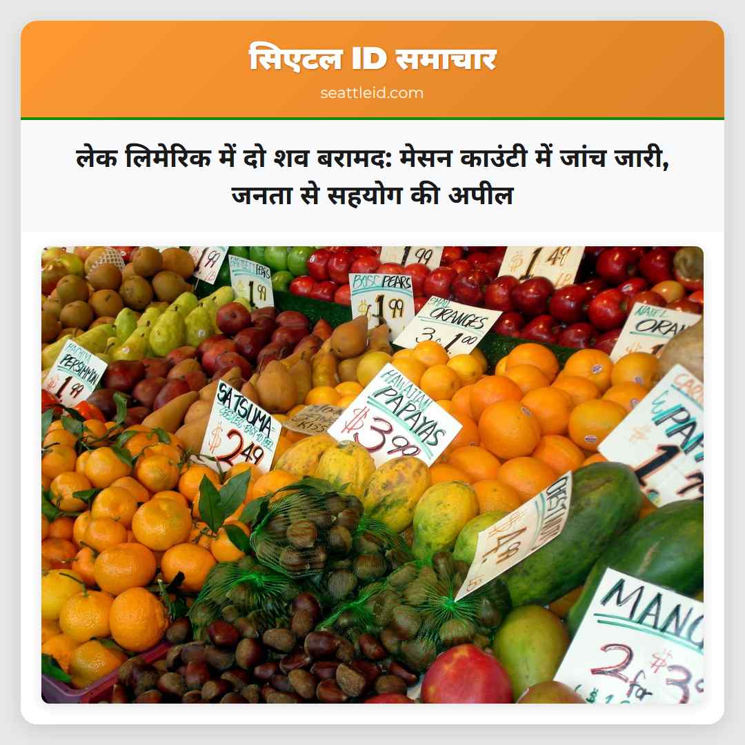 लेक लिमेरिक में दो शव बरामद: मेसन काउंटी में जांच