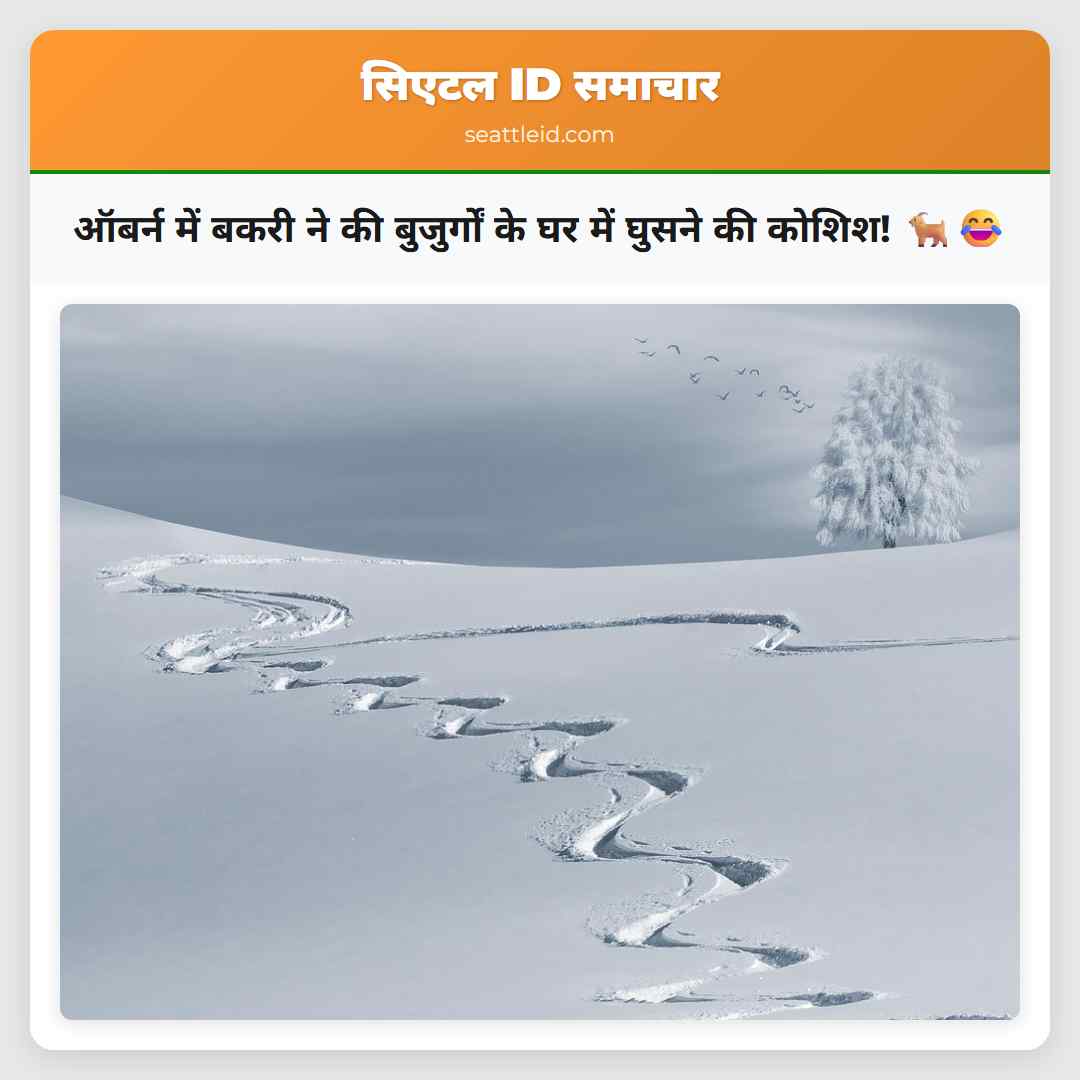 ऑबर्न में बकरी ने की बुजुर्गों के घर में घुसने की