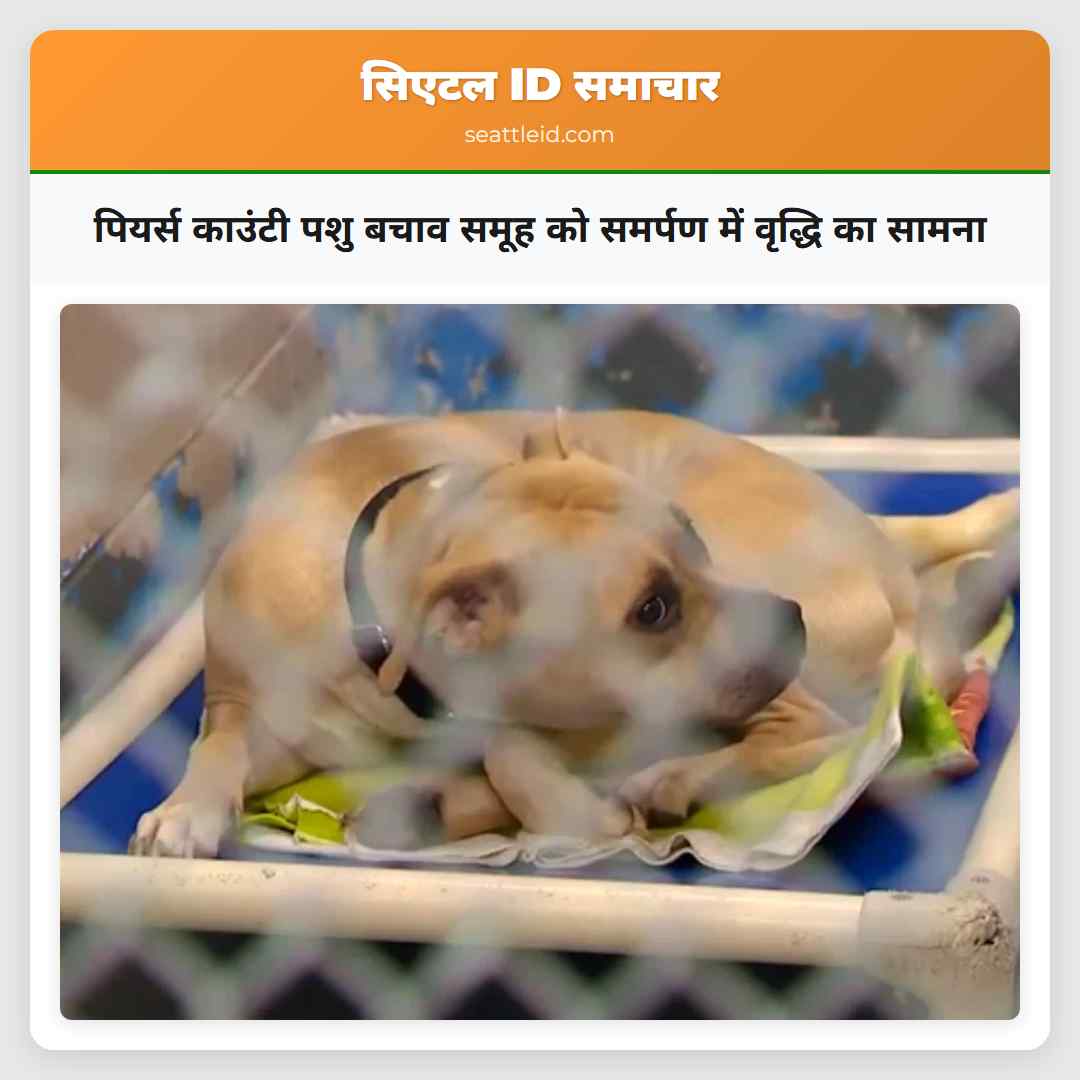 पियर्स काउंटी पशु बचाव समूह को समर्पण में वृद्धि