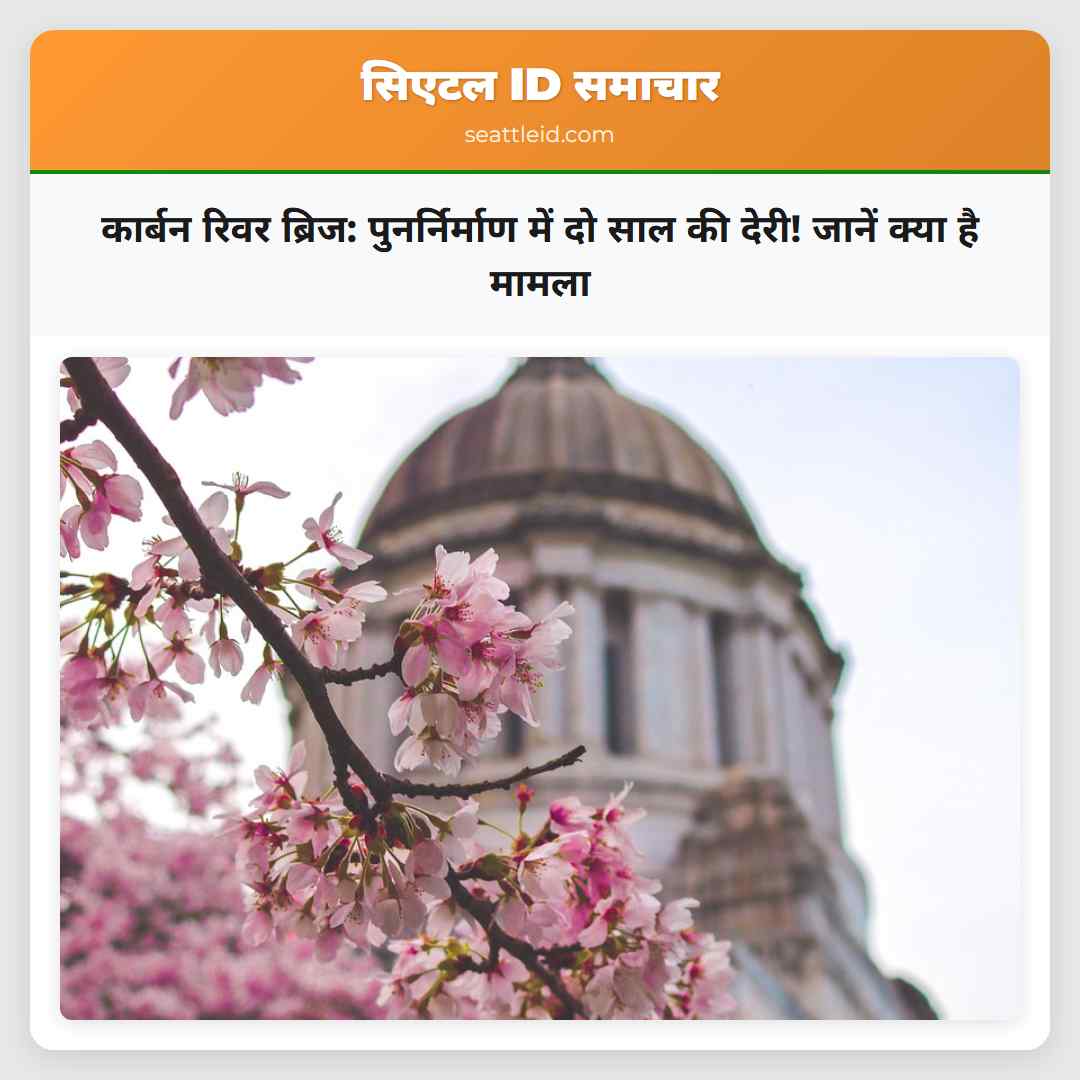 कार्बन रिवर ब्रिज: पुनर्निर्माण में दो साल की