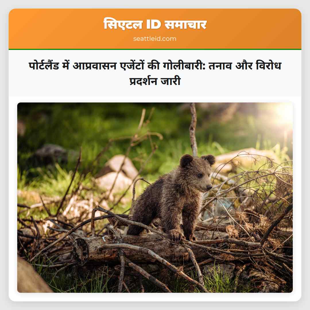 पोर्टलैंड में आप्रवासन एजेंटों की गोलीबारी: तनाव