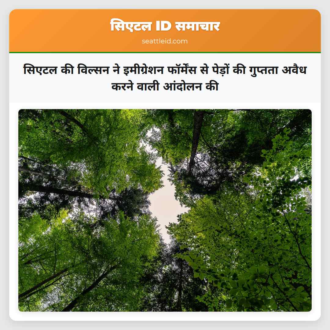 सिएटल की विल्सन ने इमीग्रेशन फॉर्मेंस से पेड़ों